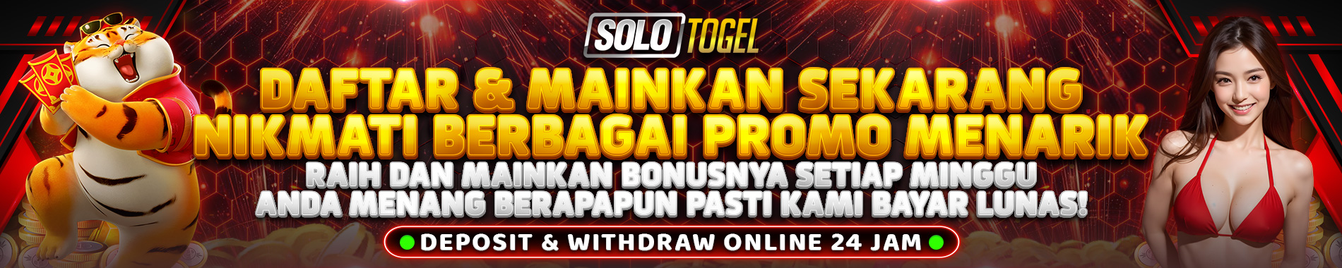 SOLOTOGEL SLIDE BANNER PC 1